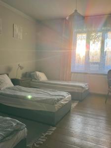 Siedlisko w Słońcu Podlasia