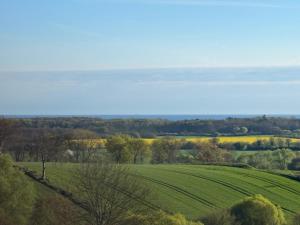 Ferienhaus mit großem Garten