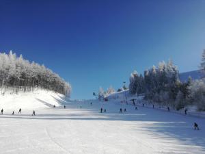 Mizerna Cicha Noclegi Blisko Natury