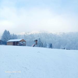 Domki na kocim zamku