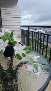 Departamento en el corazon de Villarrica