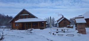 Chalet Rosehip Flower Romania Brasov Bran Rasnov