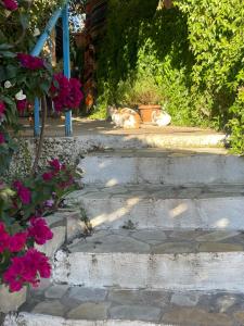 Söğüt Taşlıca Erol Köy Evi