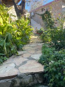 Söğüt Taşlıca Erol Köy Evi