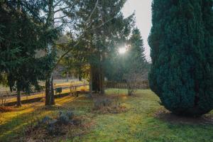 Élet Fája Vendégház