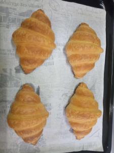 My home Koh kood2 Jungle of Smiles