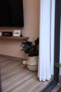 Amber Home - Swanlake