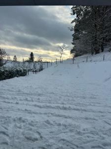 Villa Alcmaria - Aura Kaszub