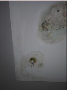 Modern Calm Apartment with Balcony & Free Parking