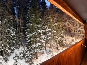 Woods Inn Kokta-Mitarbi