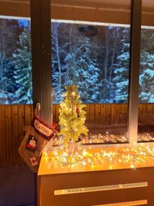 Woods Inn Kokta-Mitarbi