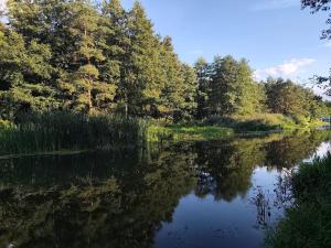 Apartament przy przystani