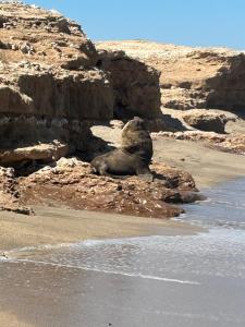 Siberia Cabaña in Mar del Sur