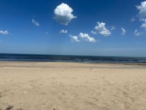 Siberia Cabaña in Mar del Sur