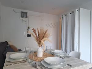 Apartamento tipo estudio con piscina en Blanes
