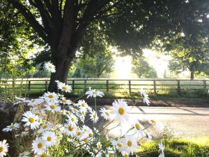 Four Seasons Cottage - in the Cotswolds