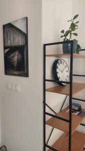 Spacious studio with garden