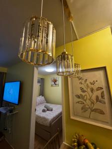 Kellys Staycation Arezzo Place Condo City