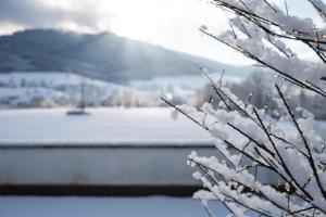 Wellness Pension am Rain