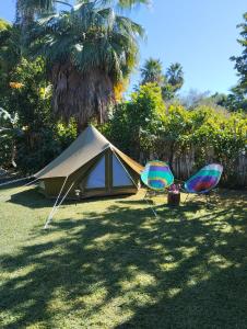 Los guayabos baja camp