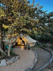 Los guayabos baja camp