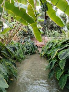 Los guayabos baja camp