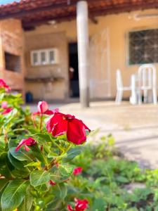 casa amarela trairi flecheiras