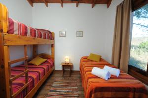 Estación Tachyon, Timalu Center Argentina