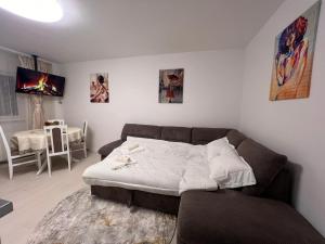 Comfortable 1-Bedroom Apartment in Bucharest Center