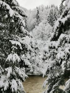 Crucea Bucovinei La Pridvor cu Dor