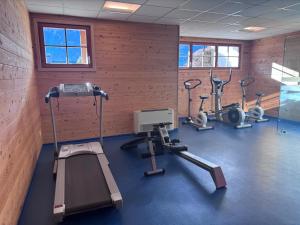 Tarvisio Cozy Alpine Refuge with Gym