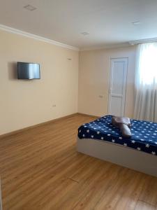 iason apartament