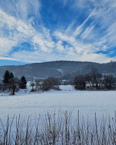 Domek GORCZAŃSKA KOLIBA w Gorcach