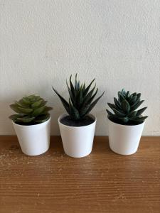 The Green Room Superior City Center