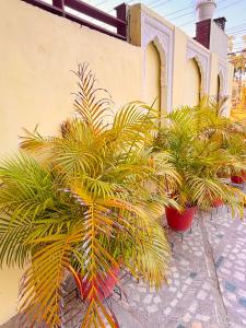 Tordi Haveli