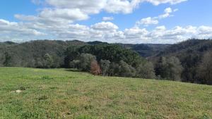 Glamping Podere Poggiagrilli