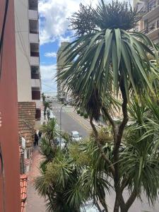 Tu mejor lugar cerca del centro y el mar