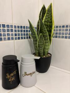 The Green Room Economy City Center in Shared Apartment