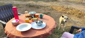 Farm, Learn, Connect - Eco Stay in Khajuraho