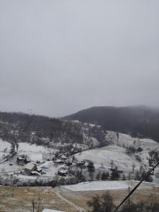 Domacinstvo Prentovic