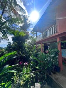 Hostel Zen - Casa na Floresta