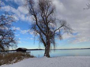 Ferienwohnung SCHALL - Erholung mit Bergblick und Chiemseenähe