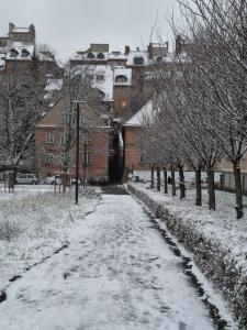 Premium Fountain Park Studio - Old Town