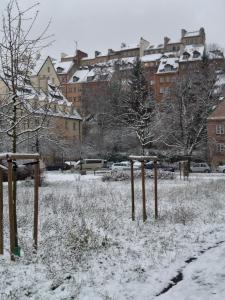 Premium Fountain Park Studio - Old Town