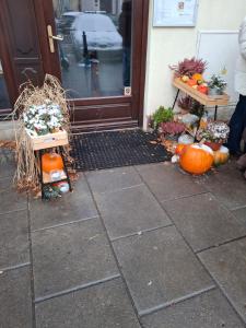 Premium Fountain Park Studio - Old Town