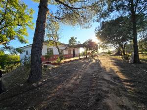 Casa de huéspedes independiente - 5 pax - en Finca El Palmar