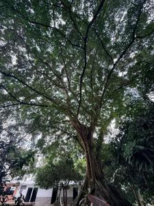 Finca Villa Esther con Piscina