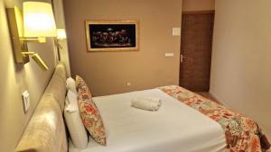 Cidadela do Viriato Standard