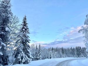 Det Vita Huset Gubbhögen