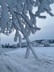 Det Vita Huset Gubbhögen